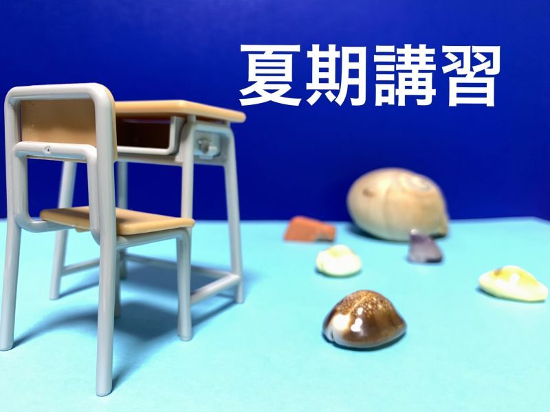 2026夏期講習、無事に終了しました！